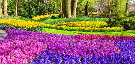 keukenhof/flower gardens