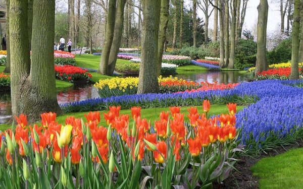 skiptheline tickets keukenhof